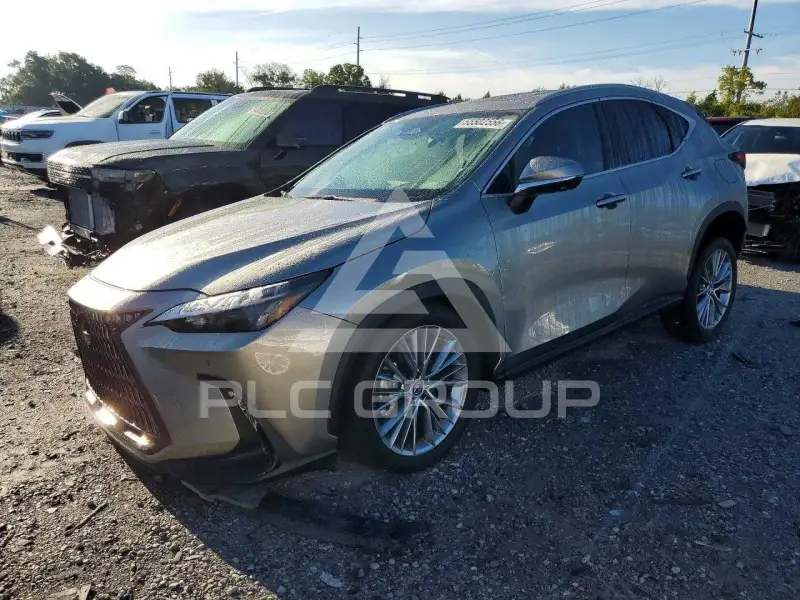 2025 Lexus NX фото