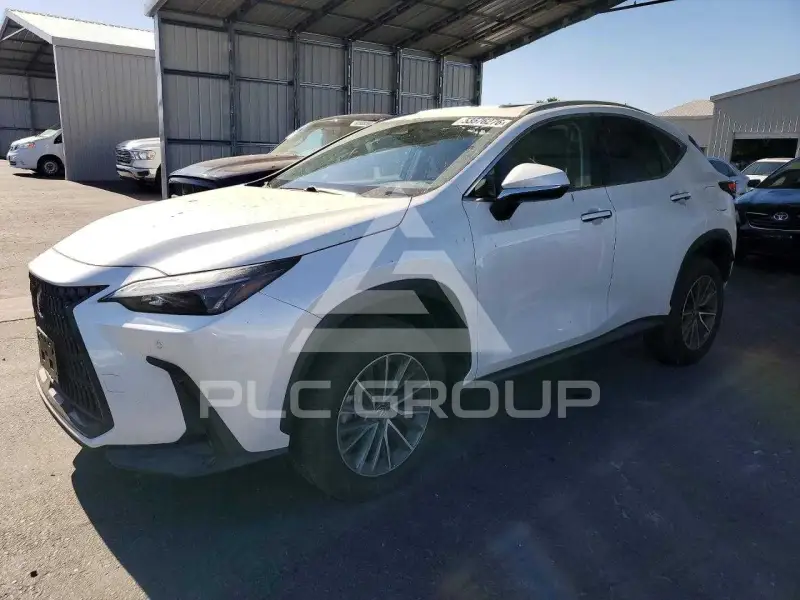 2025 Lexus NX photo