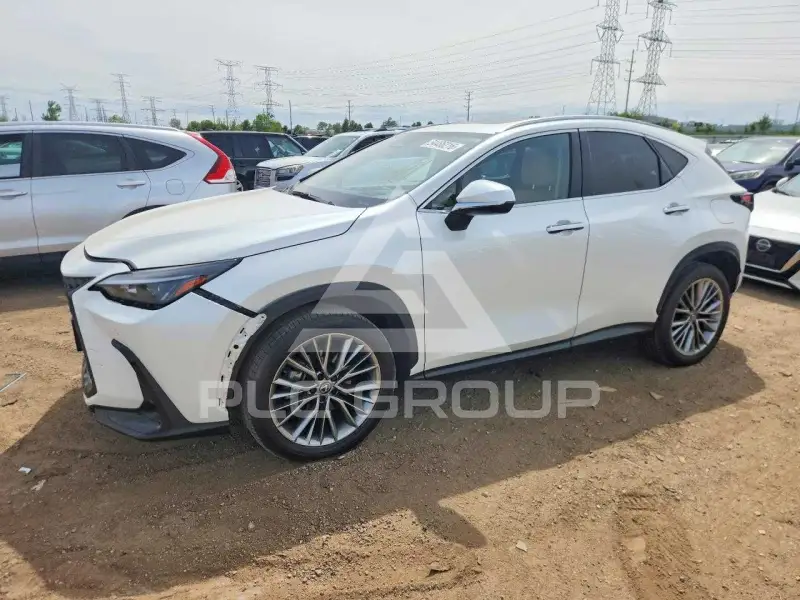 2025 Lexus NX фото