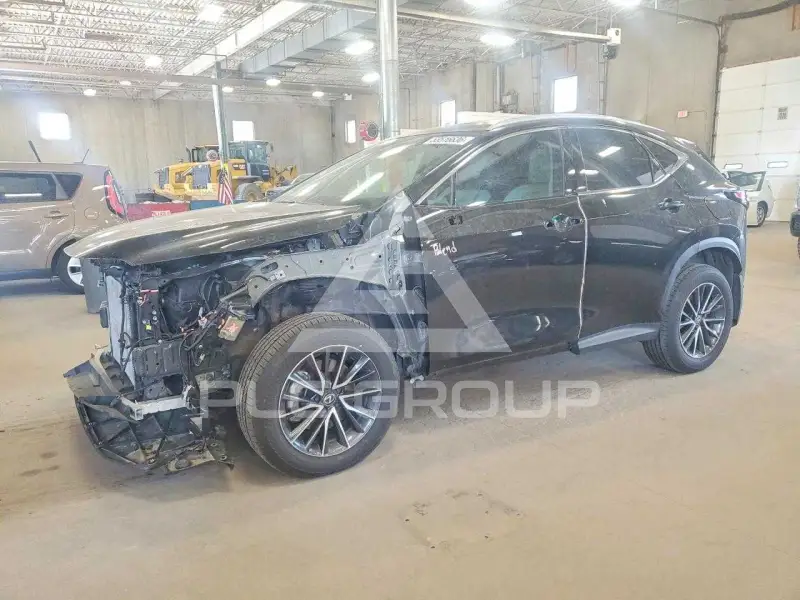 2025 Lexus NX фото