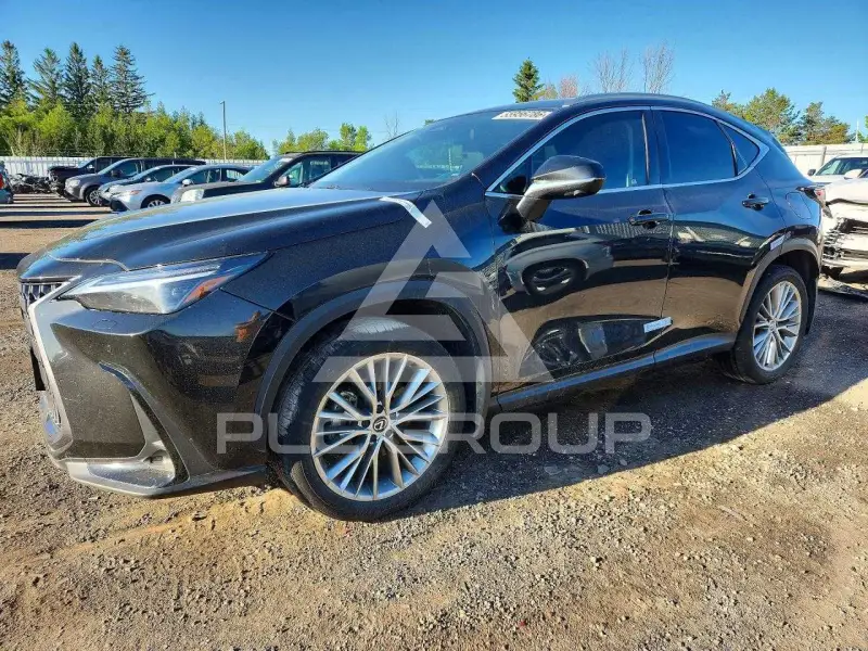 2025 Lexus NX фото