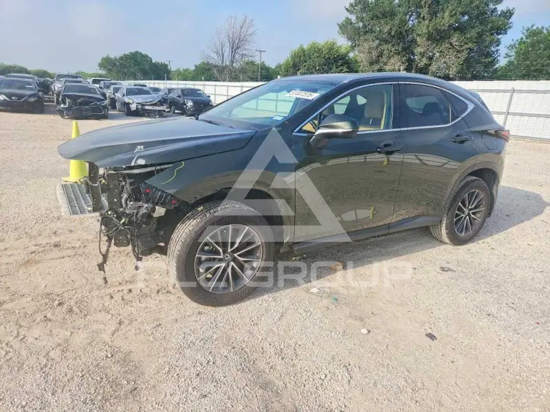 2025 Lexus NX фото