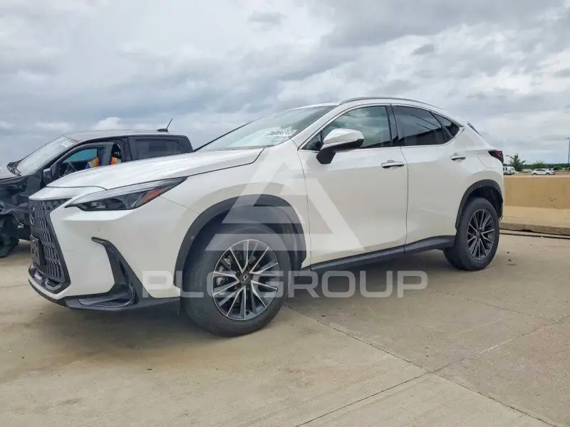2025 Lexus NX photo