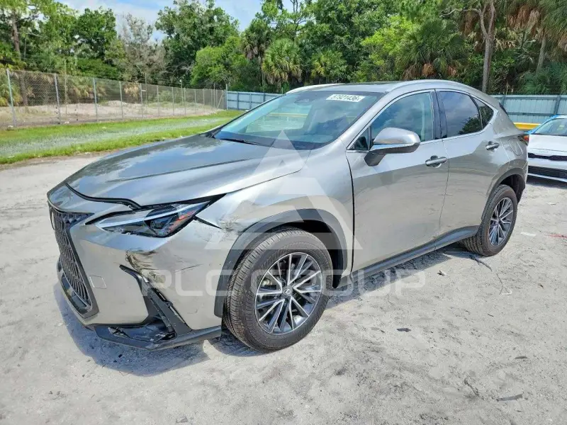 2025 Lexus NX photo
