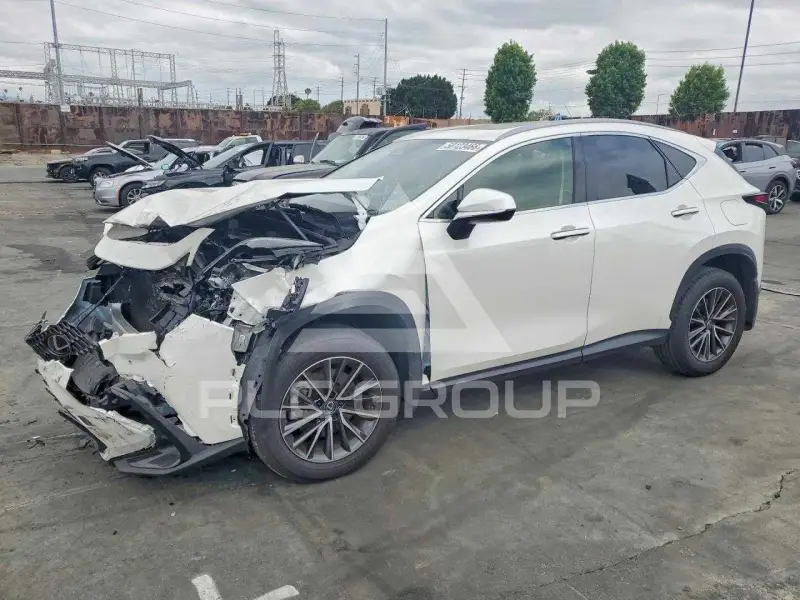 2025 Lexus NX photo