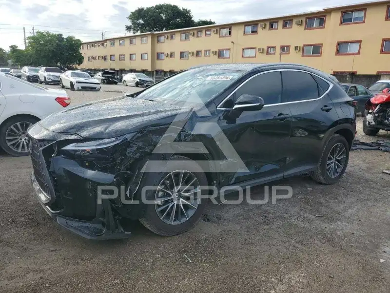 2025 Lexus NX photo