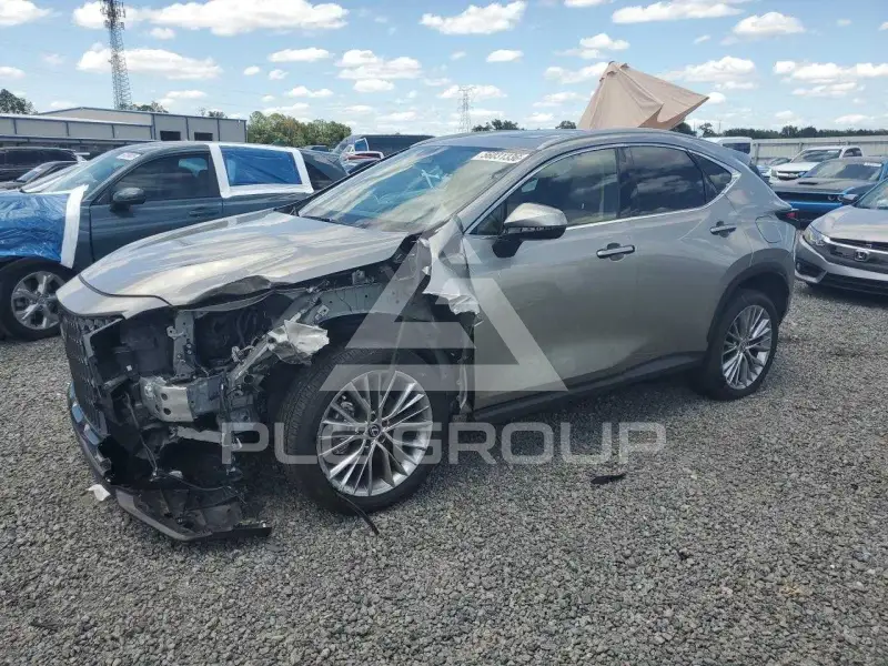 2025 Lexus NX photo