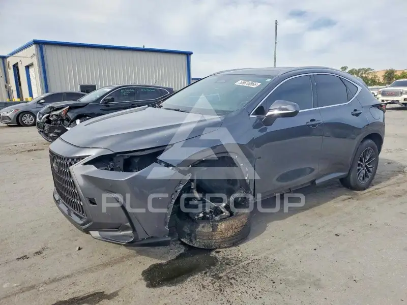 2025 Lexus NX photo