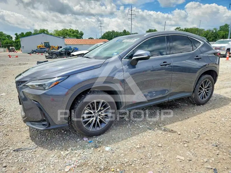 2025 Lexus NX250 фото