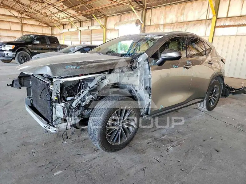 2025 Lexus NX фото