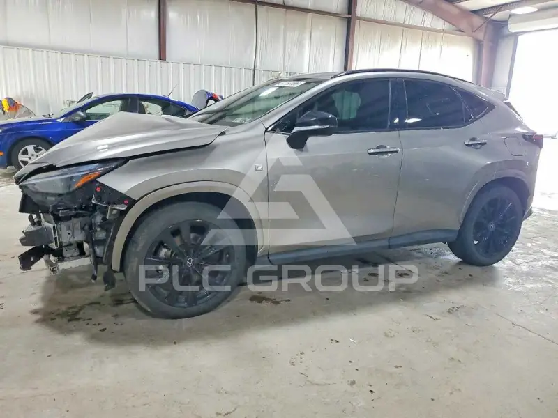 2025 Lexus NX photo