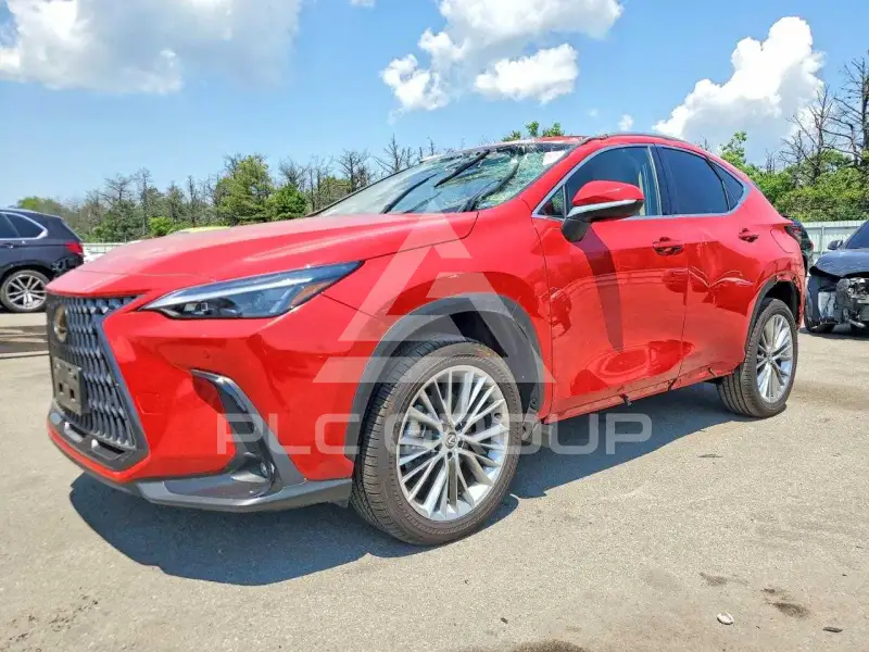 2025 Lexus NX фото