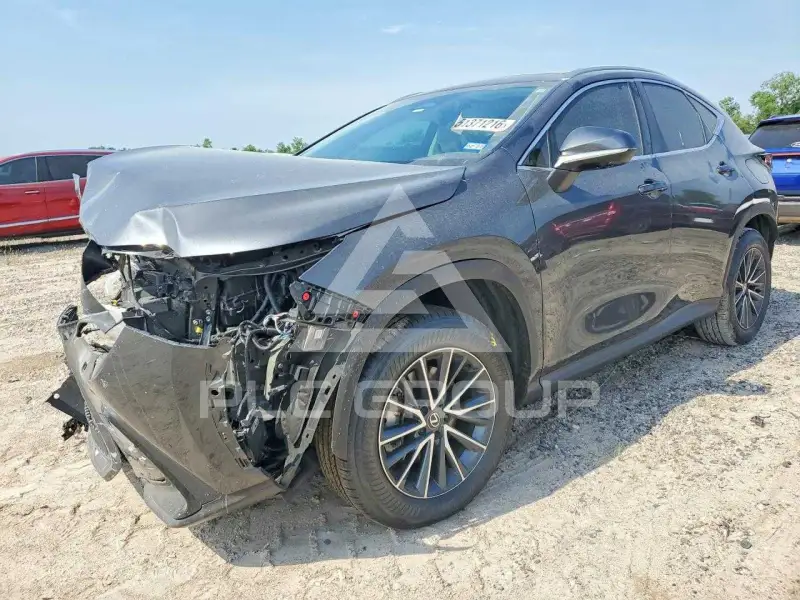 2025 Lexus NX фото