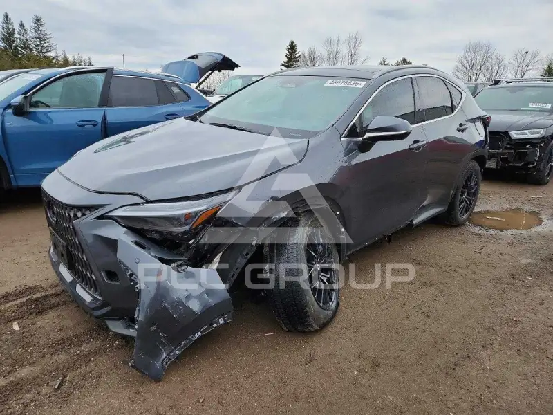 2025 Lexus NX фото