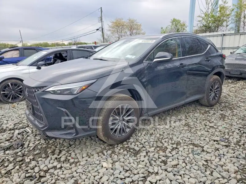 2025 Lexus NX photo