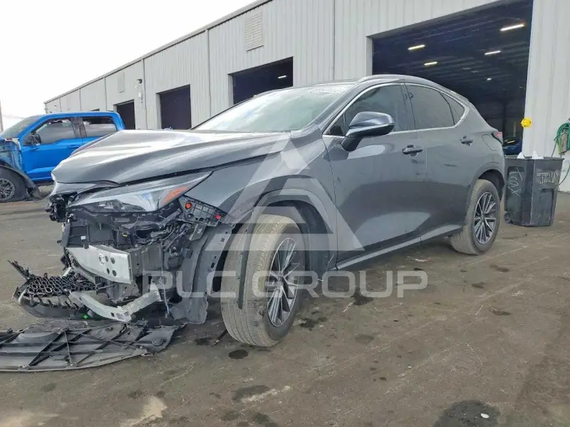 2025 Lexus NX фото