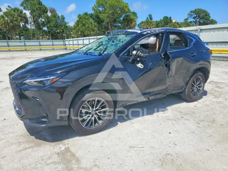 2025 Lexus NX photo