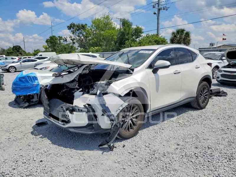 2025 Lexus NX фото