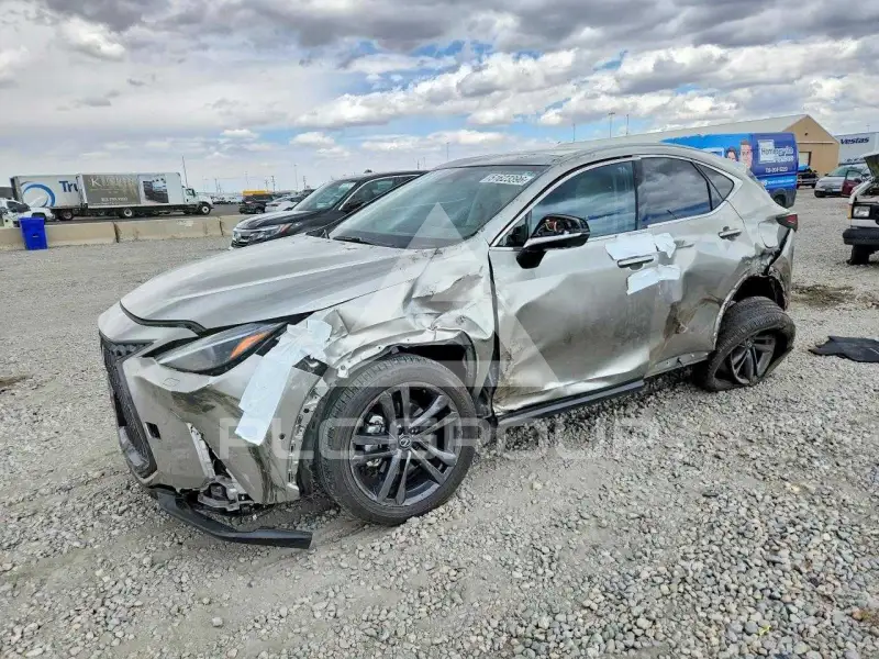 2025 Lexus NX фото