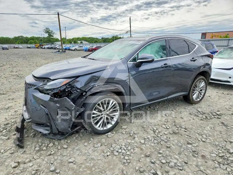 2025 Lexus NX250 фото