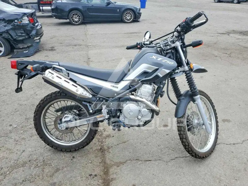 2025 Yamaha  фото