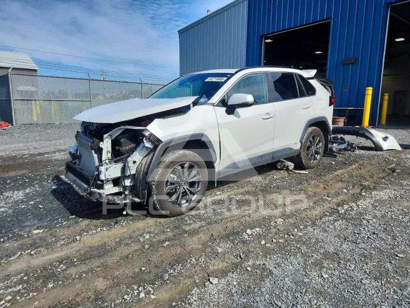 2025 Toyota RAV4 photo