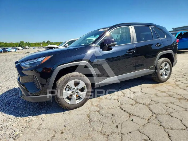 2025 Toyota RAV4 photo