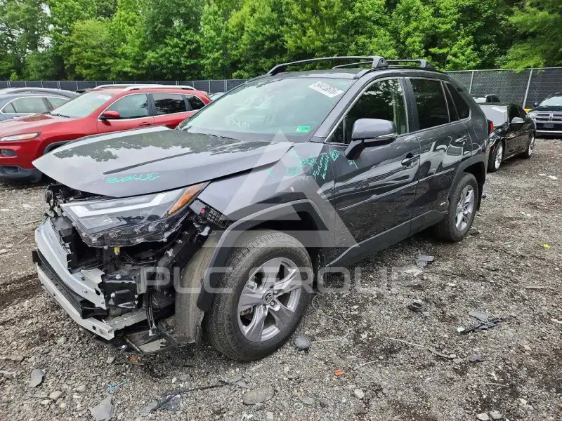 2025 Toyota RAV4 photo