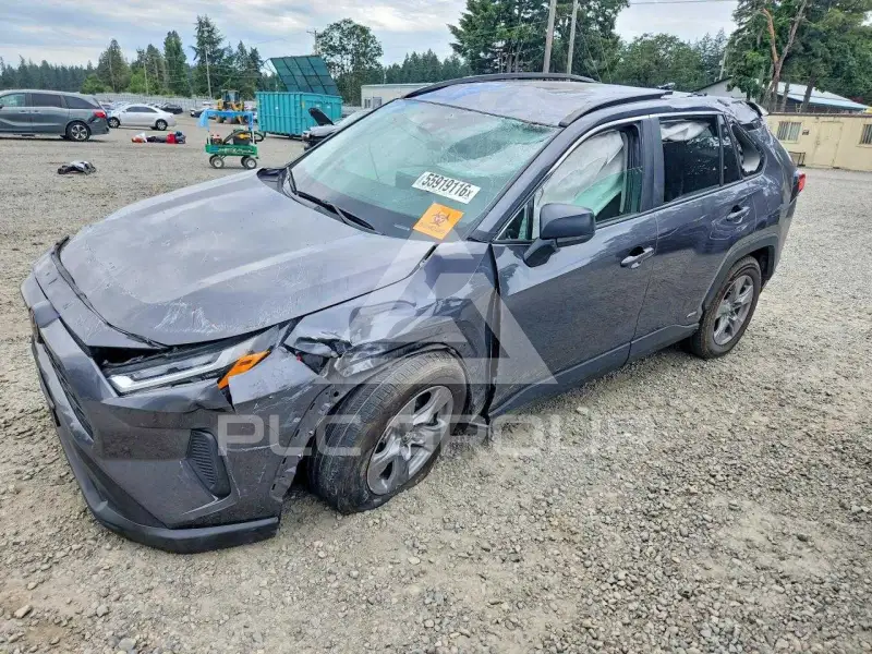 2025 Toyota RAV4 photo