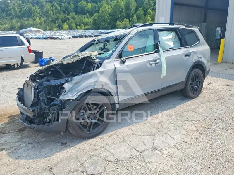 2025 KIA Telluride photo