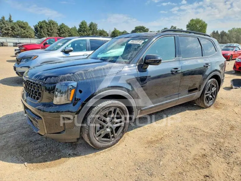 2025 KIA Telluride photo