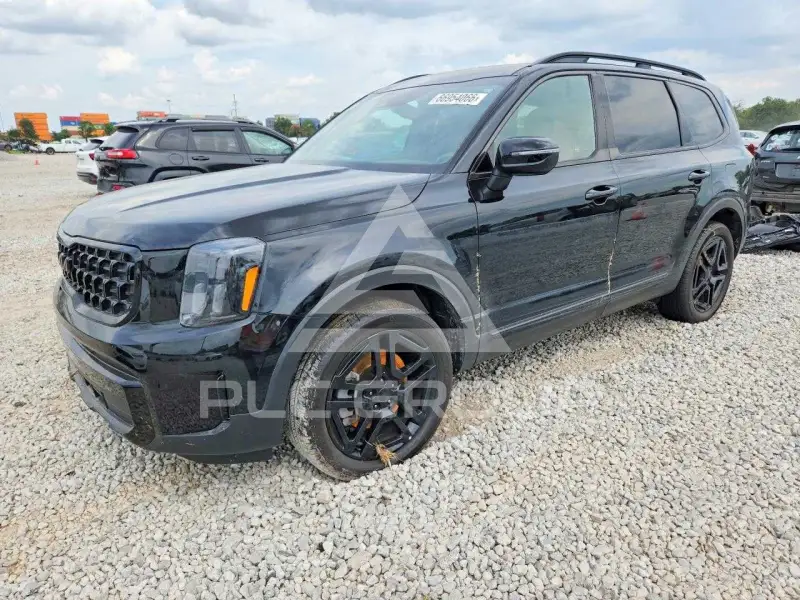 2025 KIA Telluride photo