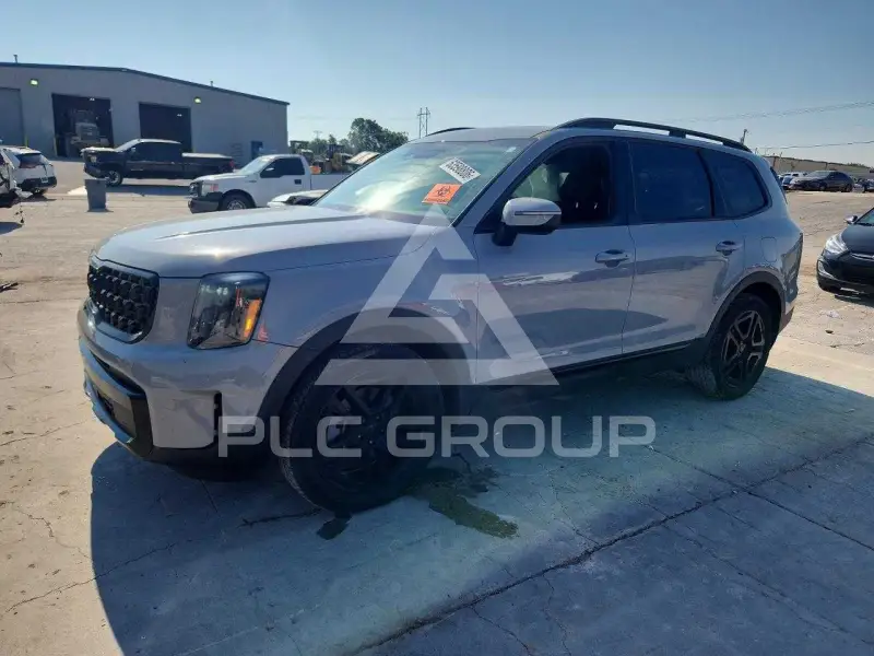 2025 KIA Telluride photo
