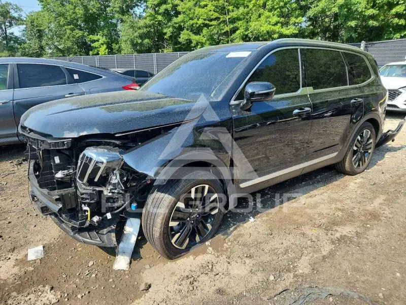 2025 KIA Telluride photo