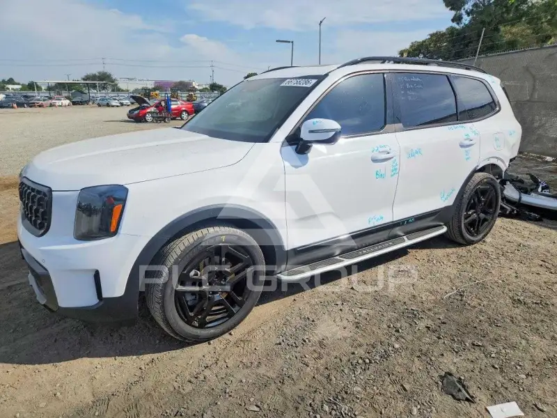 2025 KIA Telluride photo