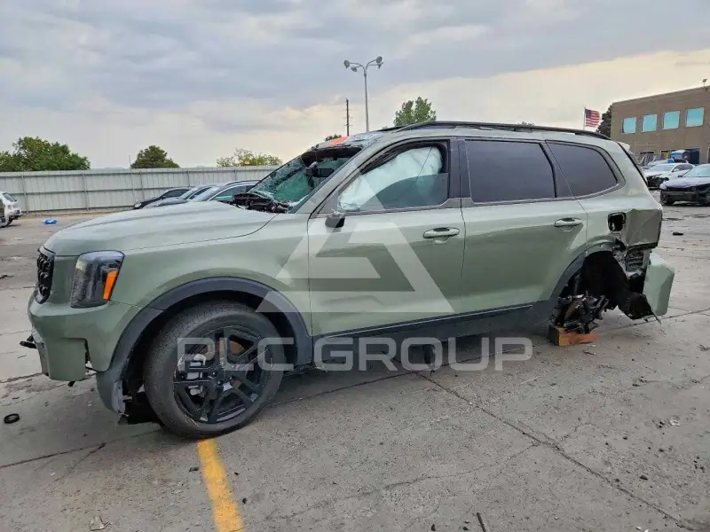 2025 KIA Telluride photo