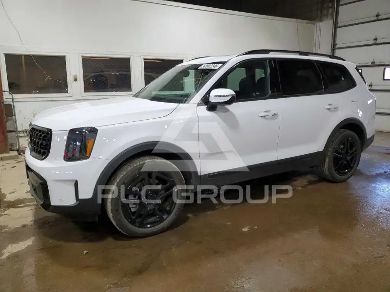2025 KIA Telluride photo