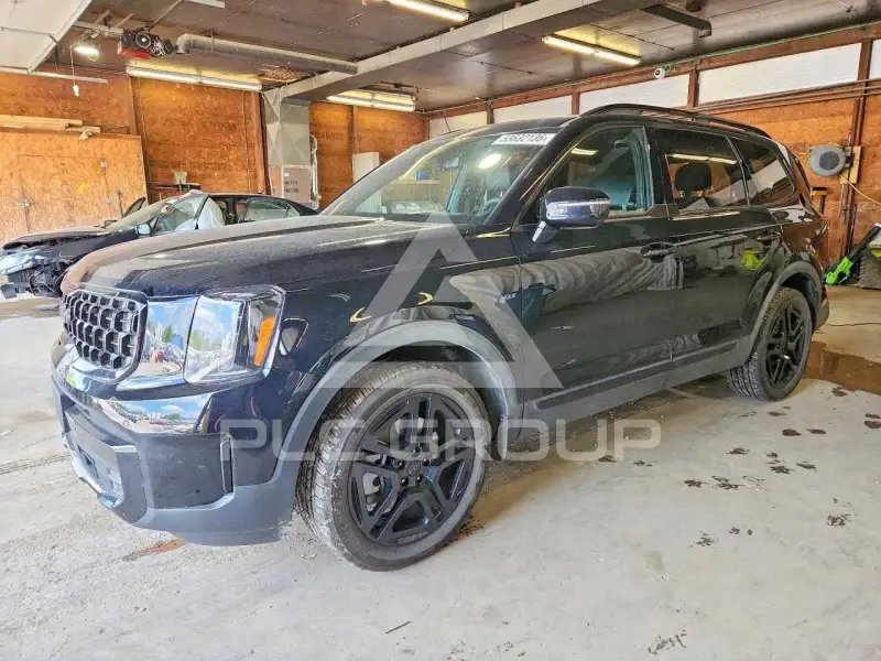 2025 KIA Telluride photo