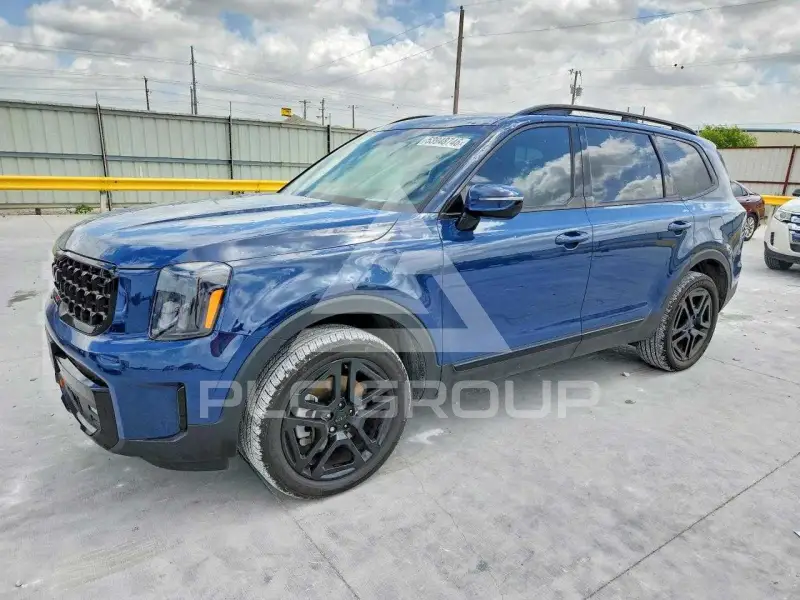 2025 KIA Telluride photo