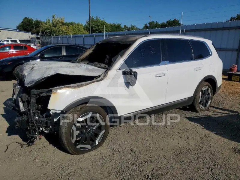 2025 KIA Telluride photo