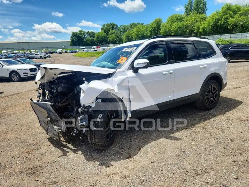 2025 KIA Telluride photo