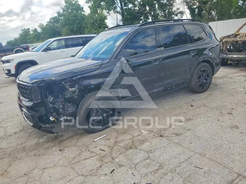 2025 KIA Telluride photo