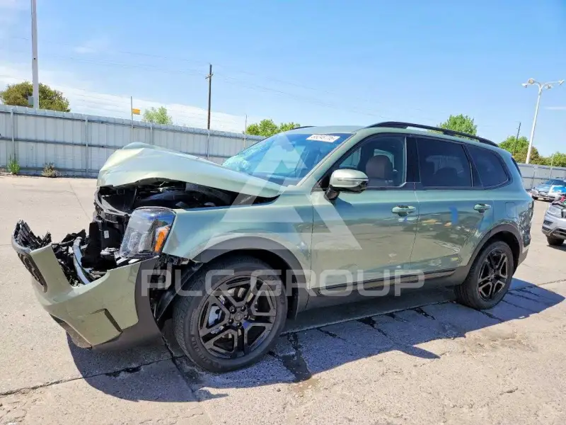 2025 KIA Telluride photo