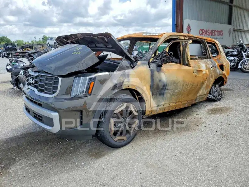 2025 KIA Telluride photo