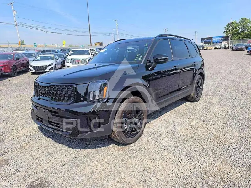 2025 KIA Telluride photo