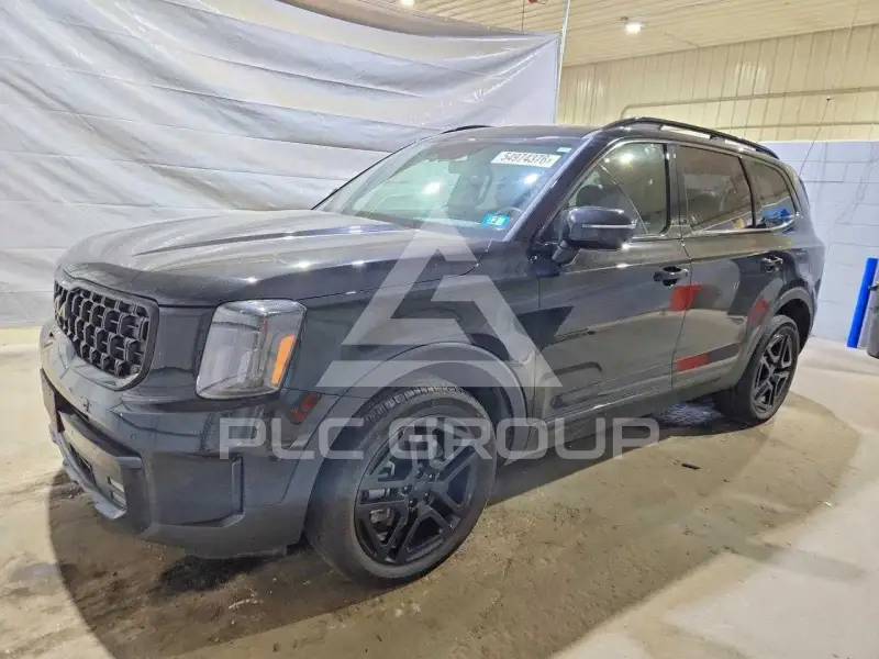 2025 KIA Telluride photo