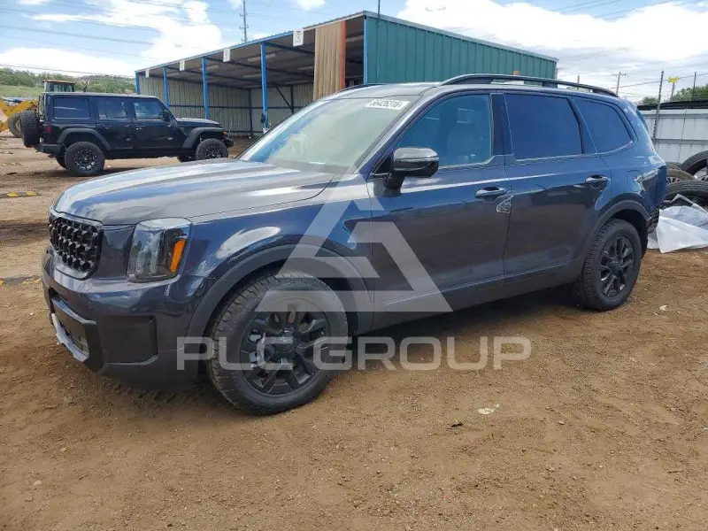 2025 KIA Telluride photo