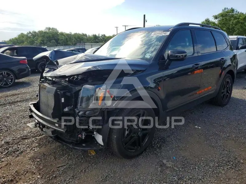 2025 KIA Telluride photo