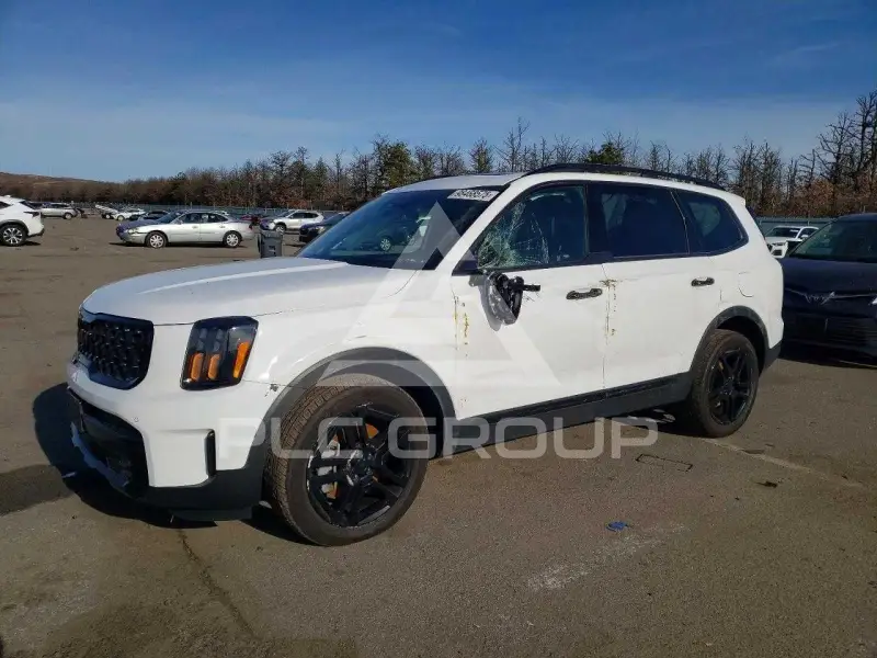 2025 KIA Telluride photo