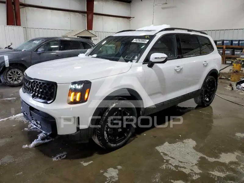 2025 KIA Telluride photo